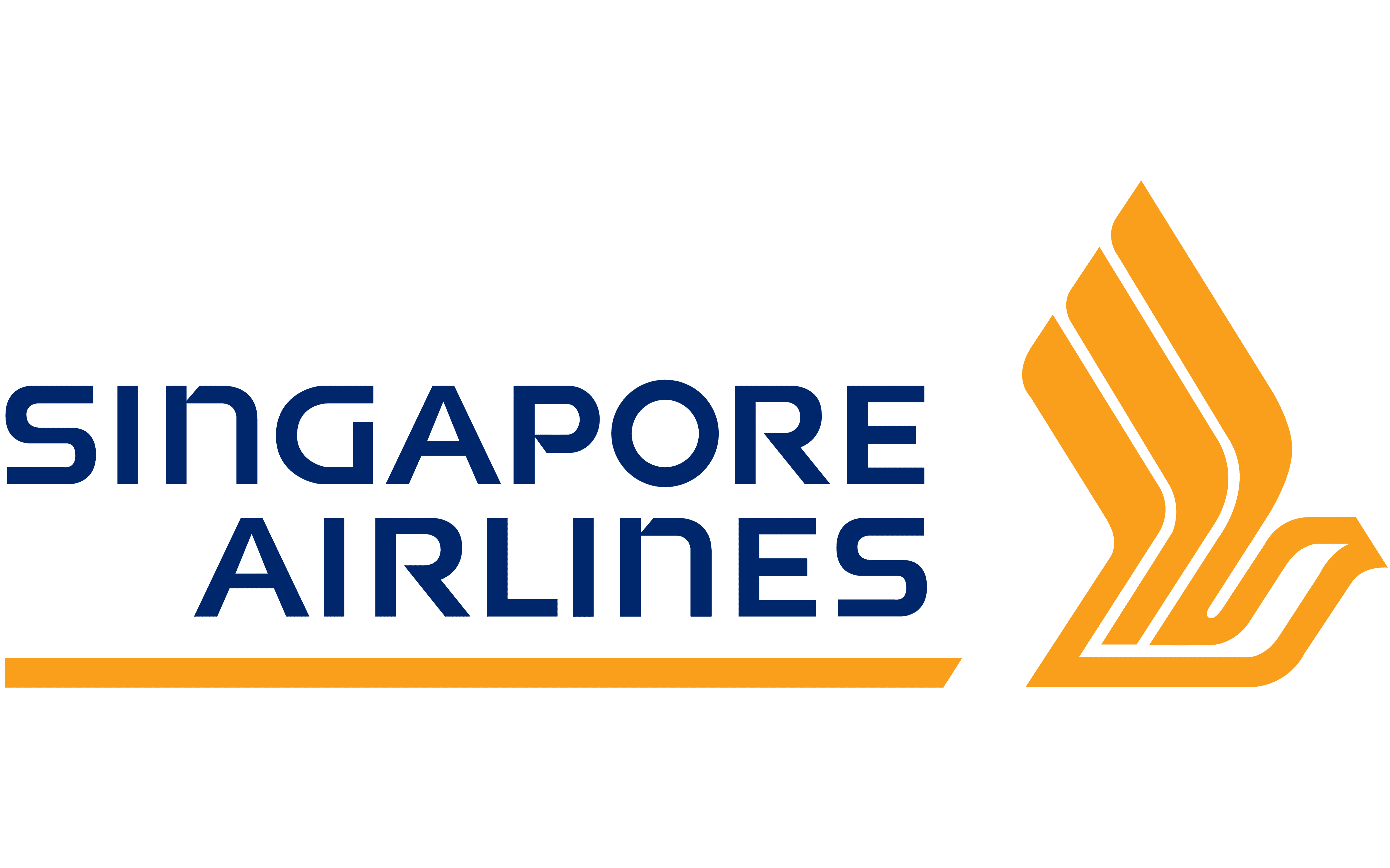 Singapore Airline